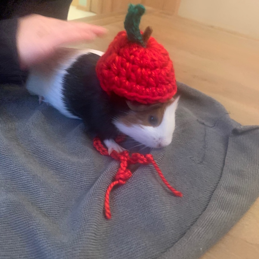 Meet your Posher, Rhona